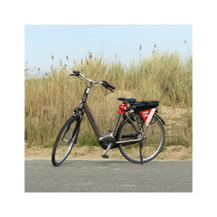 Stads e-Bike (46cm/142-150cm)