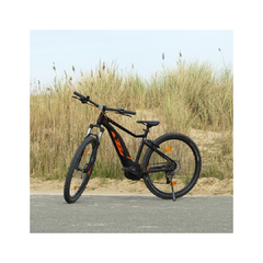 e-Mountainbike