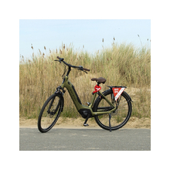 Rally e-Bike (51cm/160-170cm)